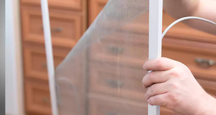 Privacy Mesh Screen Door Installation in San Francisco, CA
